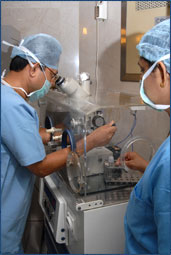 ivf